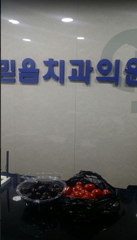 _체리,토마토간식.PNG